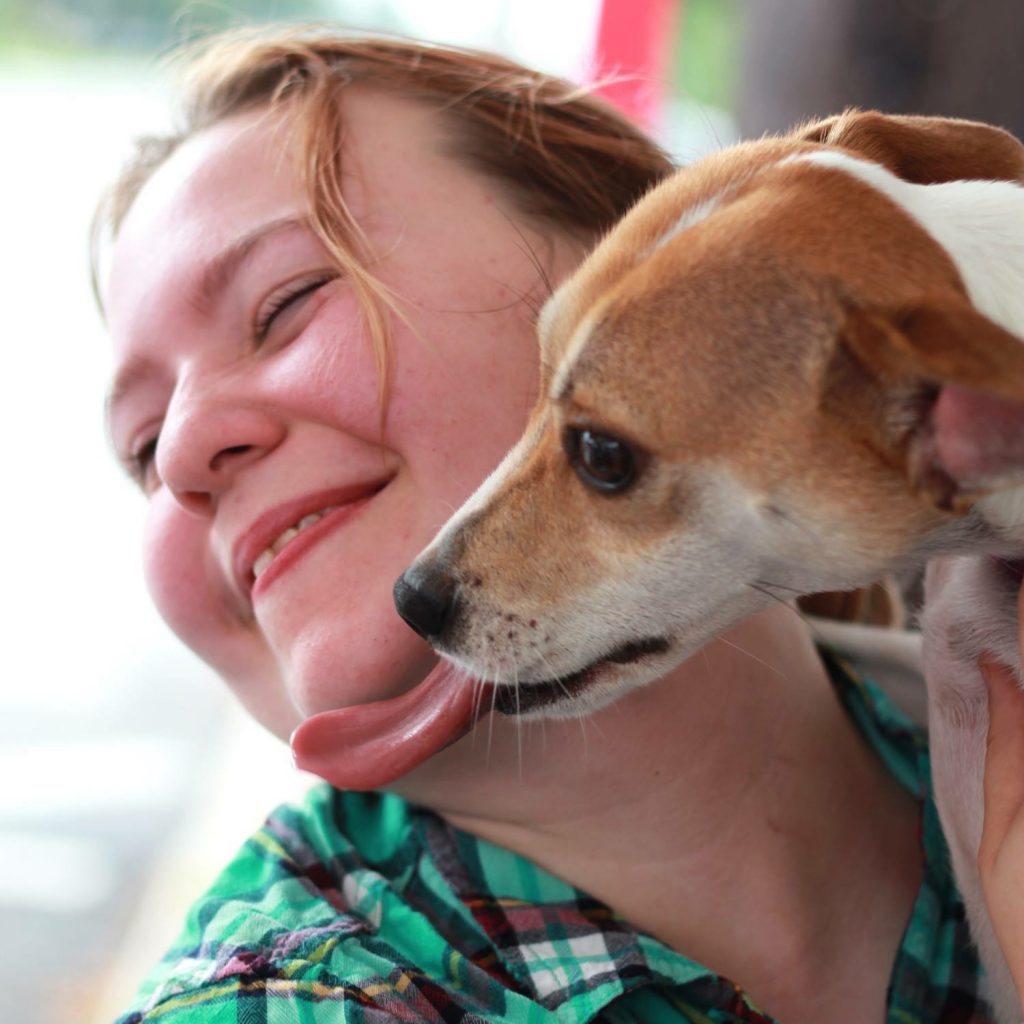 Adopt - One Love Animal Rescue